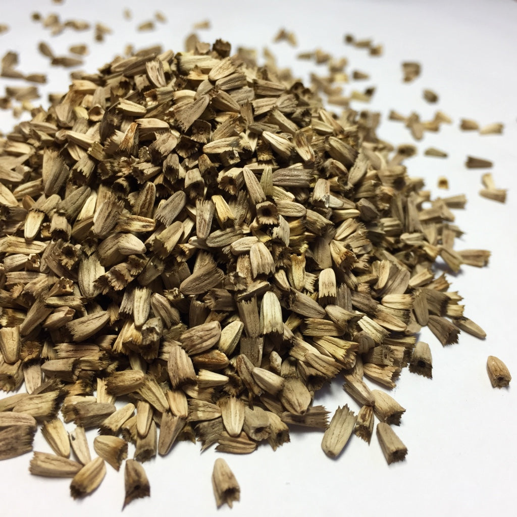 echinacea from seed Echinacea aka Purple Coneflower (Echinacea purpurea) – Earthbeat Seeds