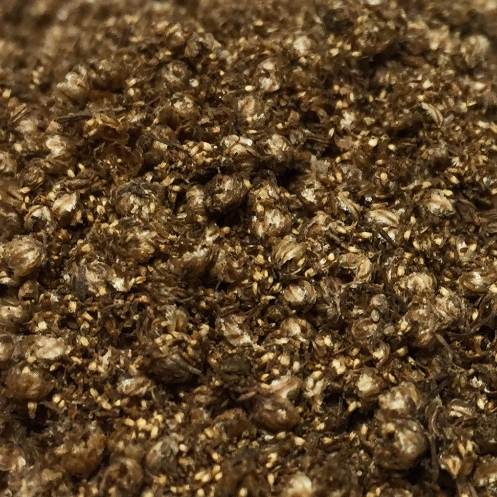 Sweet Annie (Artemisia annua) – Earthbeat Seeds