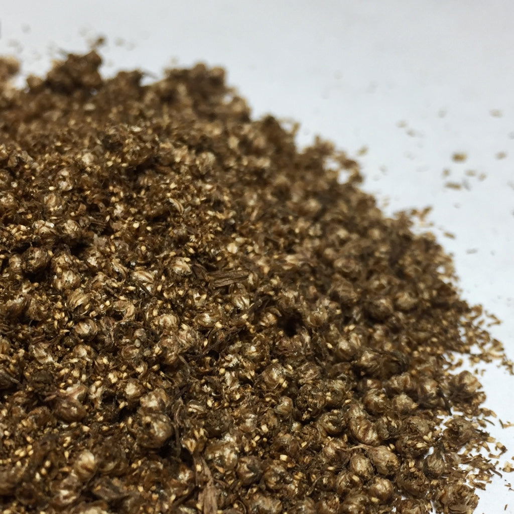 sweet annie plant seeds Sweet Annie (Artemisia annua) – Earthbeat Seeds