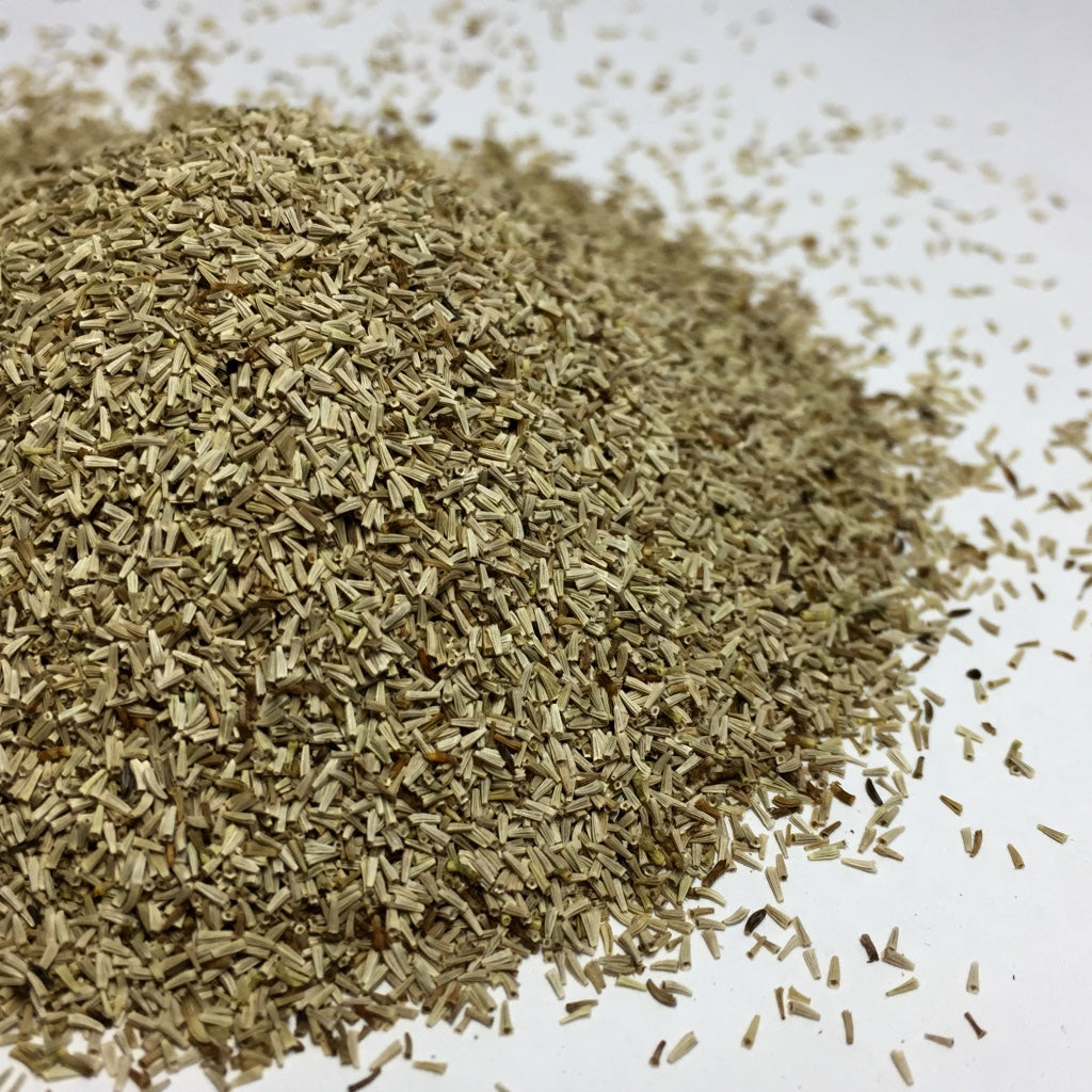 Feverfew (Tanacetum parthenium) – Earthbeat Seeds