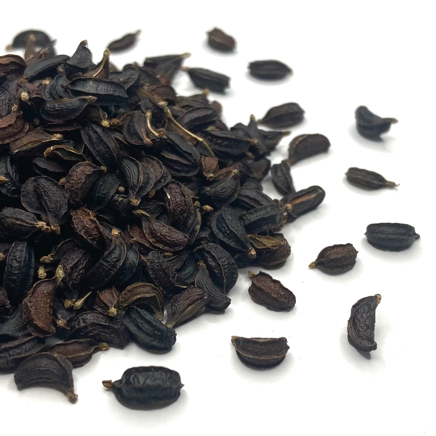 alexanders plant seeds Lovage, Black aka Alexanders (Smyrnium olusatrum) – Earthbeat Seeds